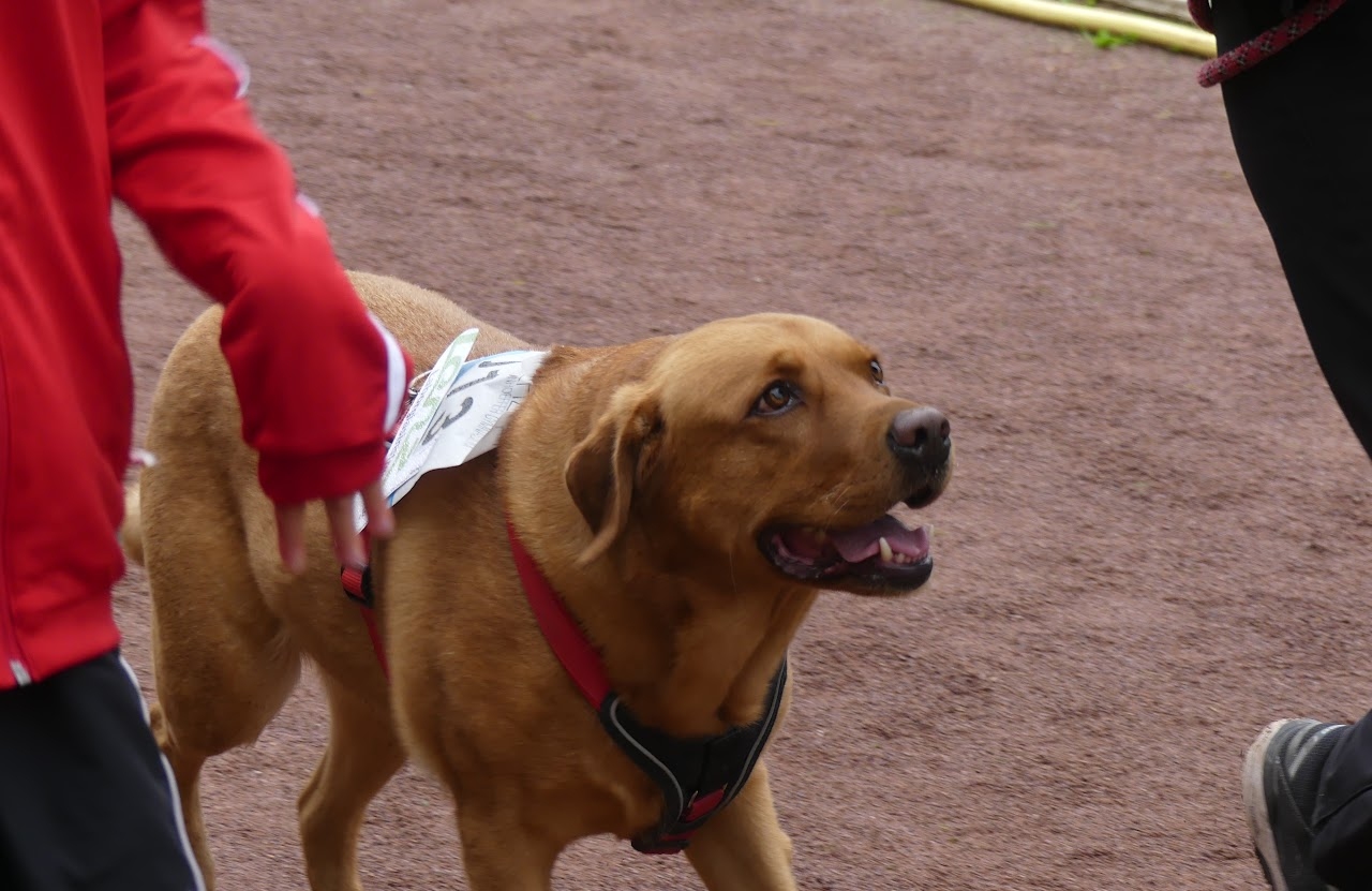 Bild vom 13. Benefizlauf im Jahr 2022. Dies ist das 535. Bild.